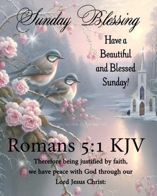 Sunday Scripture | The Vine Vigil